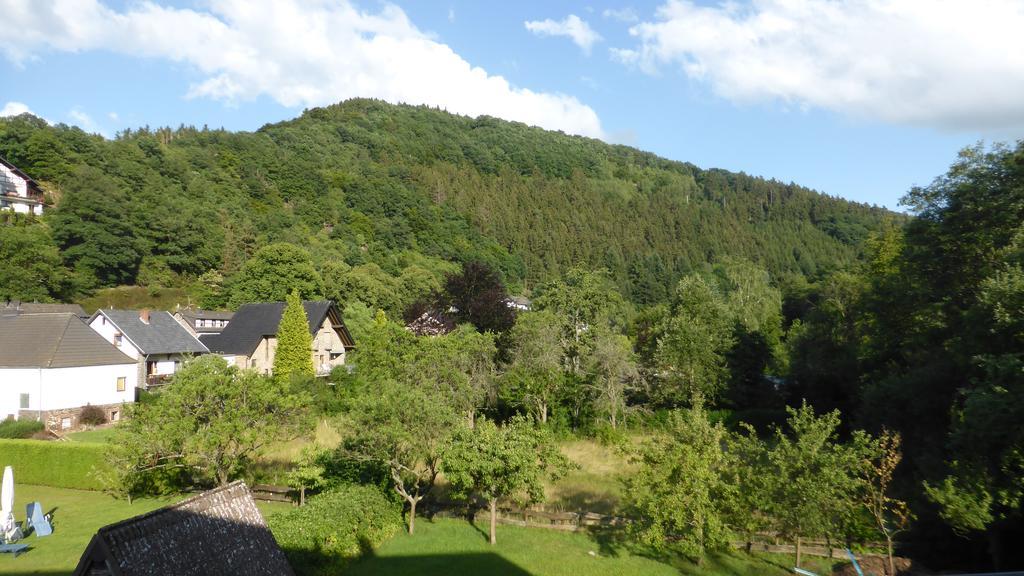 Pension Zur Schmiede Айнрур Экстерьер фото
